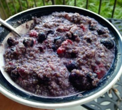 Breakfast! My morning breakfast is always the same, flavored differently. Today it was cooked quinoa with almond milk, blueberries, strawberries, protein powder, ground flax, chia, and maca powder